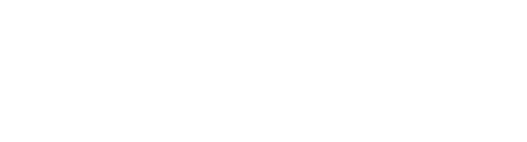 Logo Badenova - weiß